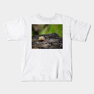 White-lipped Snail Close-up Kids T-Shirt